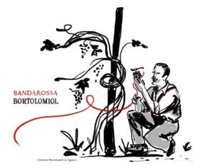 Bortolomiol cento anni di sguardo al futuro