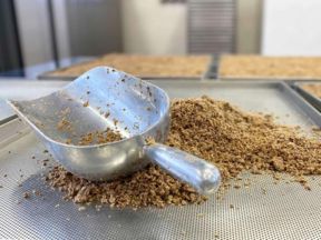 Ley farina proteica alla birra