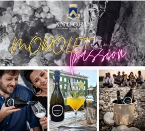 È l'ora dell'aperitivo! È l'ora di Modolet Passion Angoris