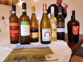 Premiazione degli Albana vincitori