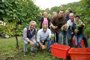 Vendemmia solidale oltre 500 persone a Le Manzane