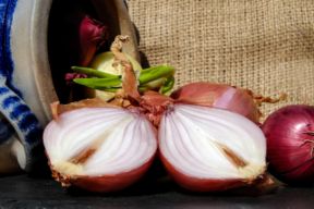 Cipolle: istruzioni per l’uso