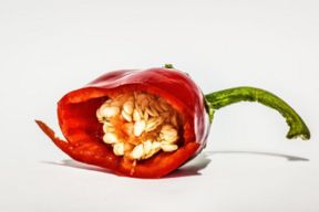 Peperoncini piccanti, quali sono i peggiori