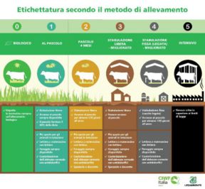 Latte: avremo una nuova etichetta con il “benessere” della mucca?