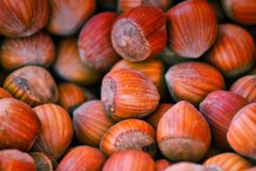 Nocciole: il prezzo è fissato a 400 euro al quintale