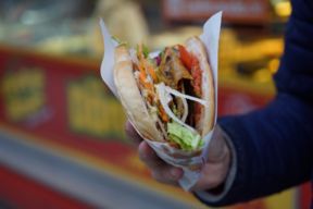 Treviso: chiuso il Pizza&Kebab del Duomo, blatte in cucina e nel cibo