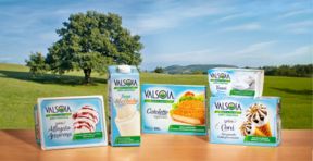 Valsoia ha acquisito il 100% della Swedish Green Food Company