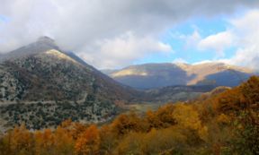 I triiddi di Rofrano: la pasta cilentana fatta con farina di castagne