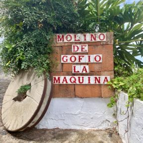 Cos’è il Gofio delle Canarie e come viene prodotto