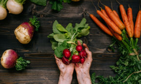 Sementi biologiche: ricerche e sperimentazioni per la crescita del bio