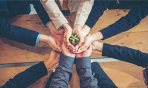 “Dal produttore al consumatore”: la Strategia Farm to Fork UE cambierà il modo di produrre e di mangiare?