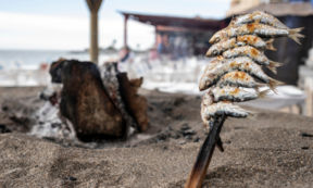 Il pesce “povero” del Mar Adriatico e i piatti in cui è protagonista