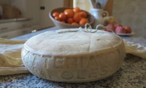 Latteria Campolessi di fossa