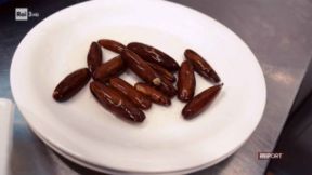 Datteri di mare da 200 € al chilo: la pesca illegale ha devastato i Faraglioni