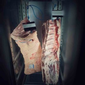 Bistecca: dimmi quale carne usi e ti dirò che ristorante sei