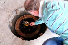 I migliori Orange wine: 10 vini arancioni italiani da comprare online