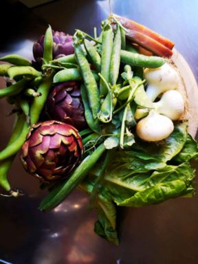 Vignarola alla romana: la ricetta originale profuma di sole e di primavera