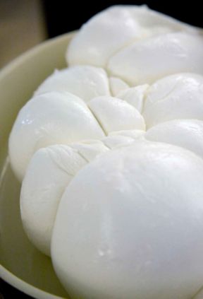 I 100 migliori caseifici di Mozzarella Championship, Bufale in tavola