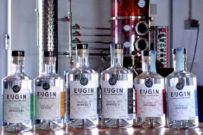 Gin: 6 etichette da utilizzare per i vostri cocktail preferiti