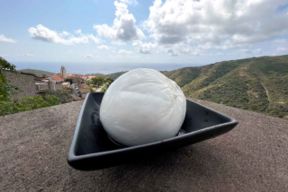 Dove comprare le migliori mozzarelle di bufala a Caserta e a Salerno